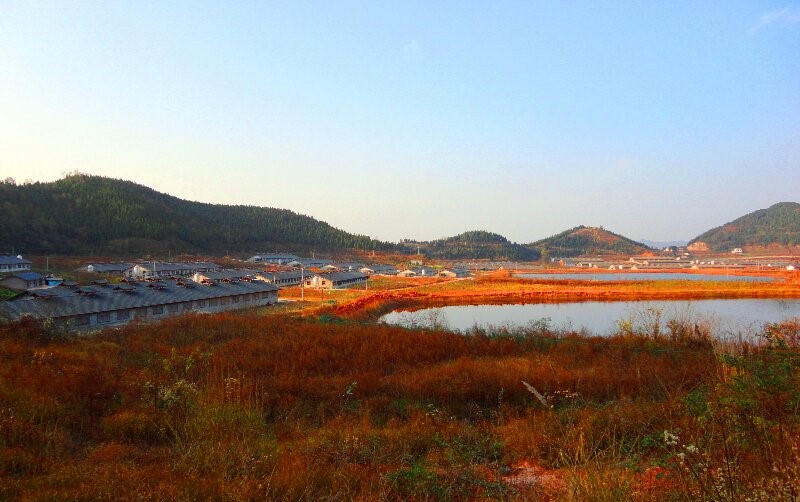育種基地